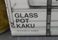 画像2: ガラスポットKAKU5,500円現品 ＋シストーチス・ステノグロッサ2点で5,980円 (2)