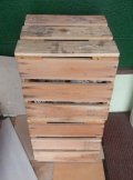 龍王石　混合　20Kg　2セット入荷しました