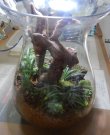 画像4: 寄せ植え（委託販売）
