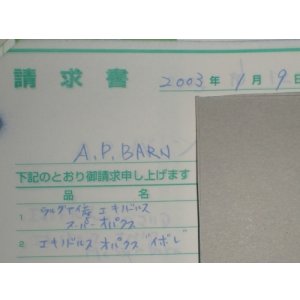 画像: エキノドルス　オパクス（イボレ産）増殖株