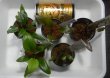 画像2: Cryptocoryne 5点セットNo29