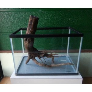 画像: あく抜き流木No5(中古品)