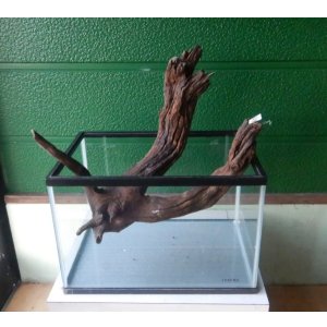 画像: あく抜き流木No2(中古品)