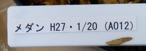 画像3: Ao12　現品 